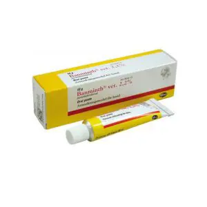 Banminth Pasta for Dogs, για ενδοπαράσιτα, 10gr