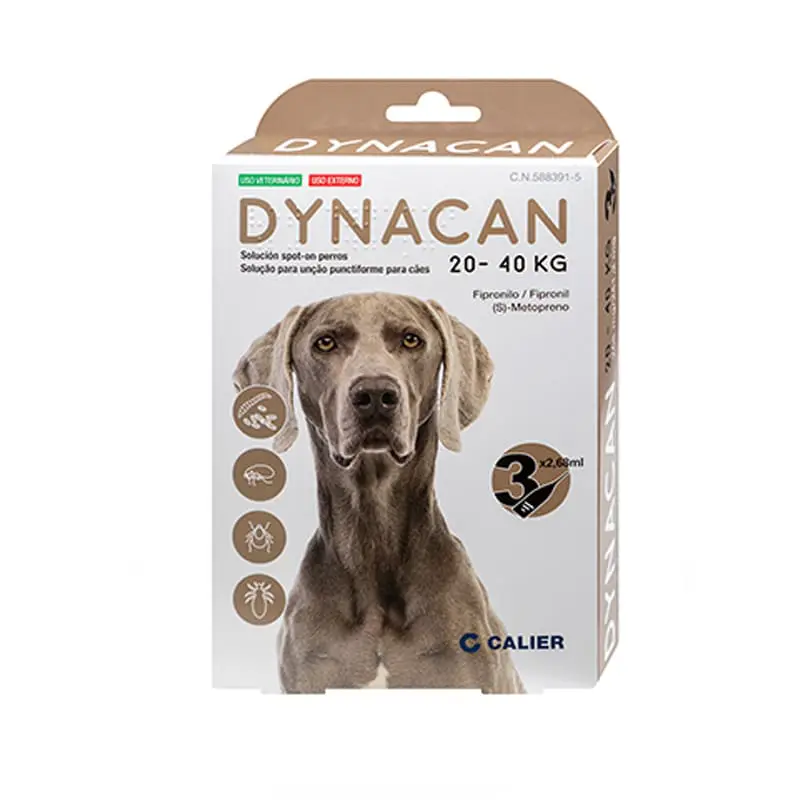 Dynacan Dog 20-40kg, Διάλυμα για επίχυση σε σημείο σε σκυλακια, 1 αμπούλα