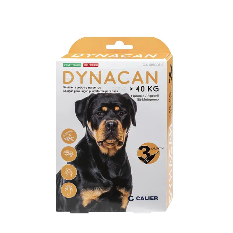 Dynacan Dog 40kg και άνω, Διάλυμα για επίχυση σε σημείο σε σκυλακια, 1 αμπούλα